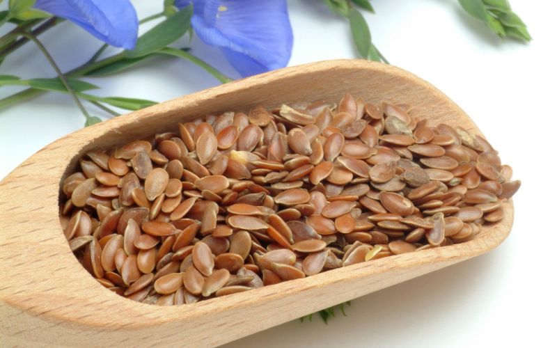 Lanena semena, ..jpg