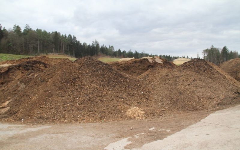 puscava.jpg