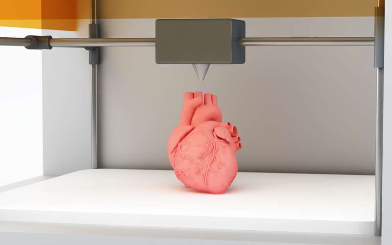 3D-Printed-heart.jpg
