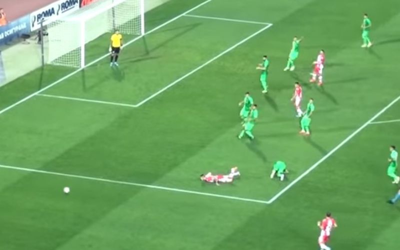 crvena zvezda.jpg