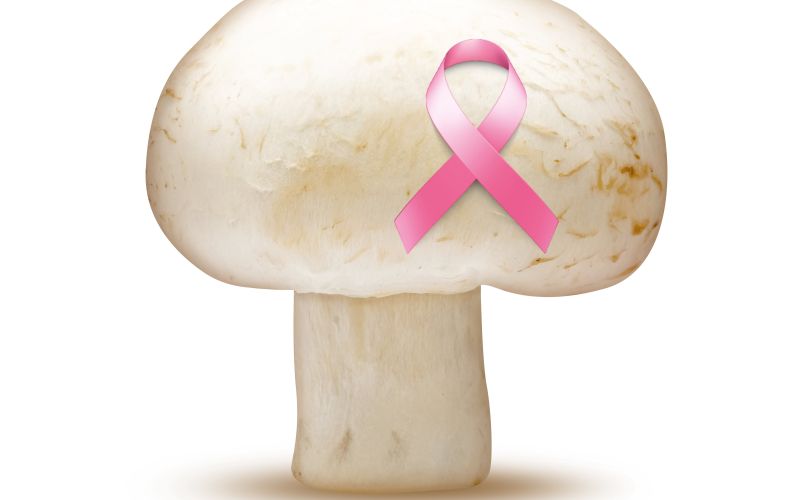 sampinjon_pentlja_2_.jpg