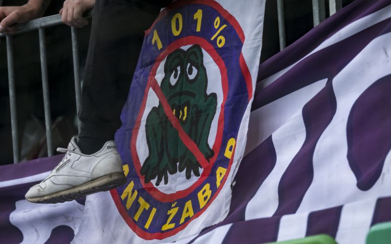 viole.jpg