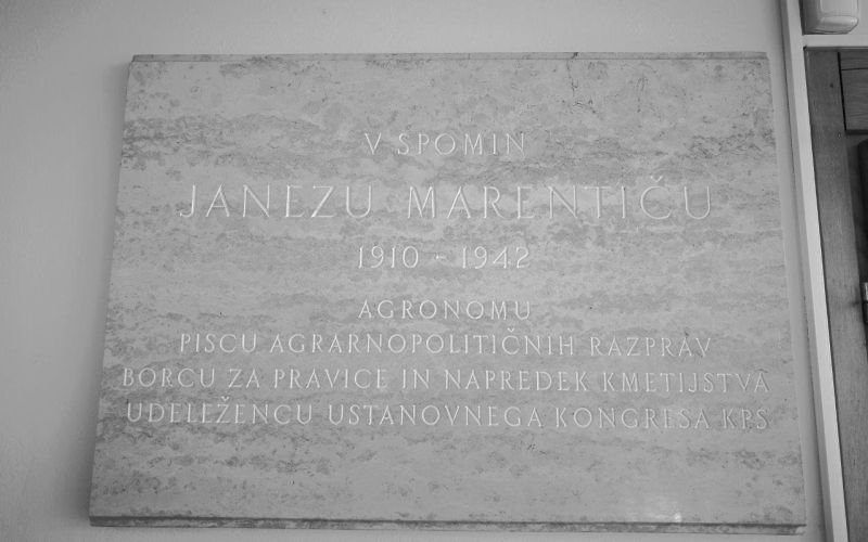 _zzmarentic__1_.jpg