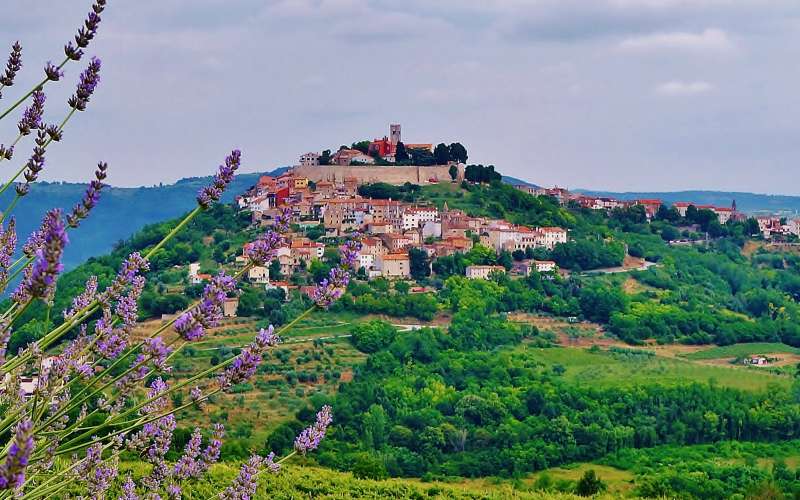 Istra Motovun.jpg