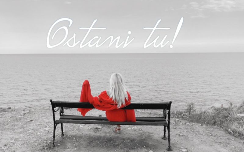 _zzzzzostani_tu___brigita_suler.jpg