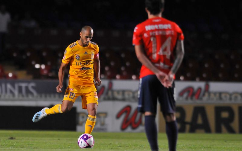 veracruz tigres.jpg