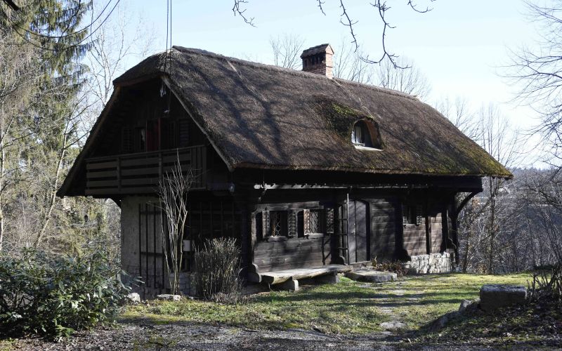 mlakarjeva_domacija___luka_rems_drustvo_nm.jpg