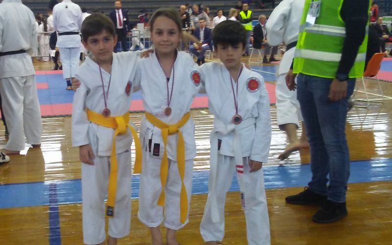 karate, goričko, turnir-v-srbiji