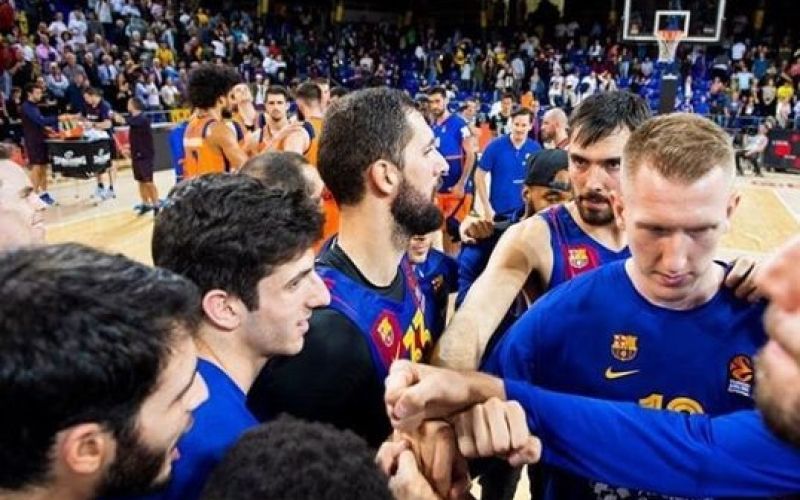 mirotic.jpg