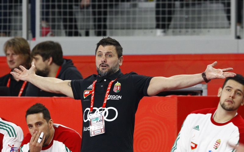 ljubomir vranjes.jpg