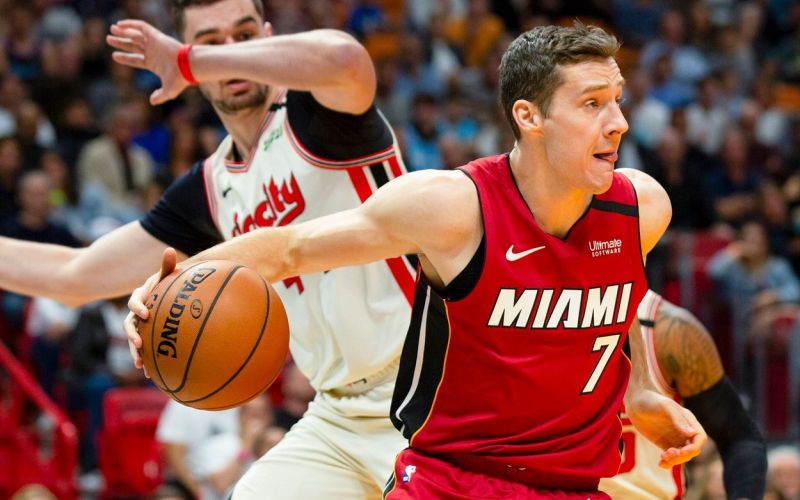 goran dragic pm.jpg