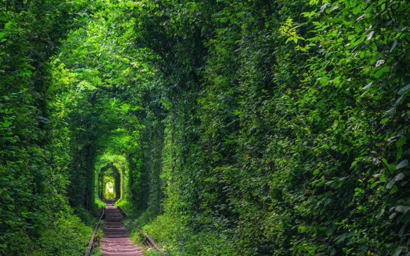 tunel.jpg