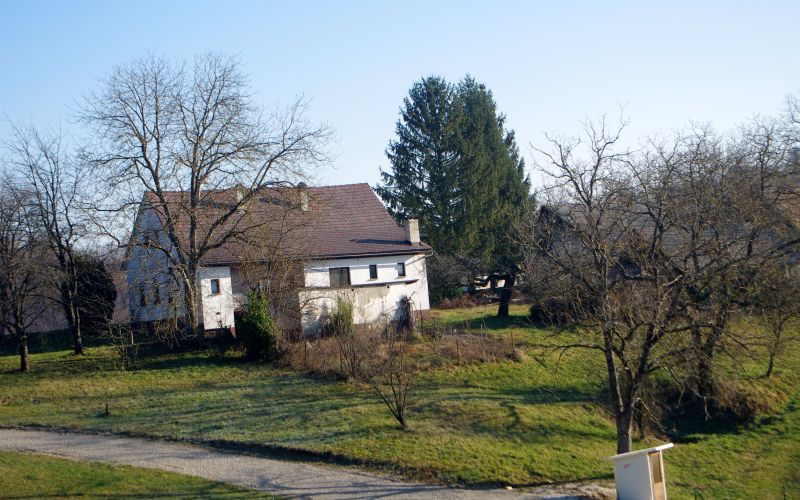 kaplerjevadomacijabucka.jpg