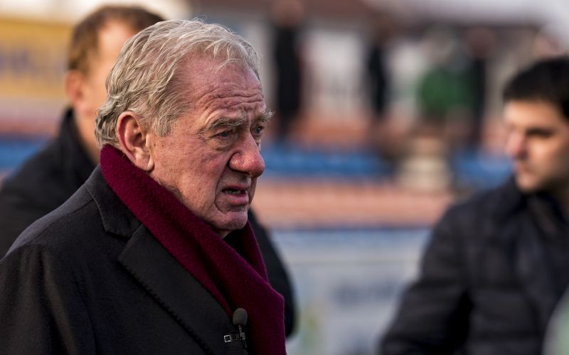 mandaric.jpg