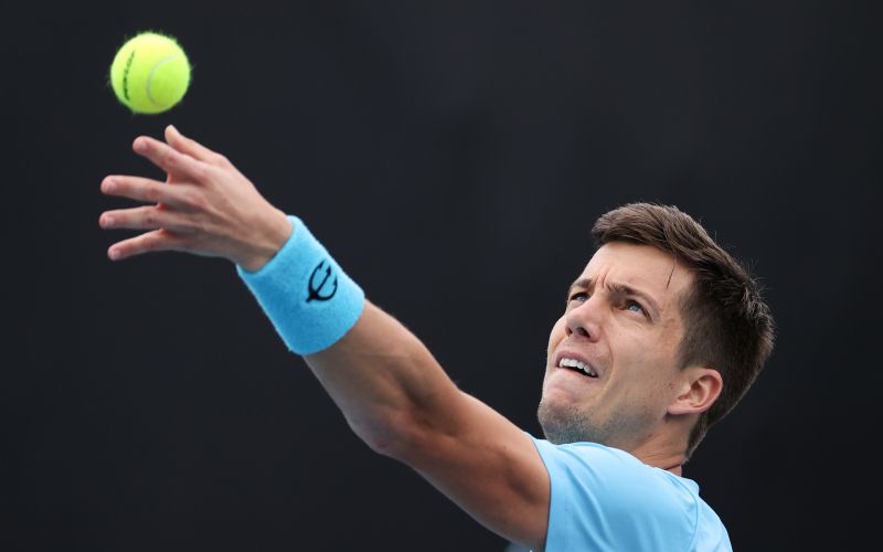 ALJAZ BEDENE.jpg