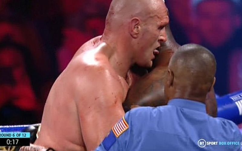 fury wilder 1.jpg