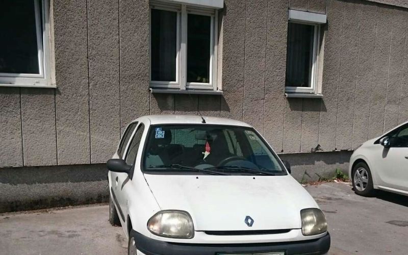 clio 2.jpg