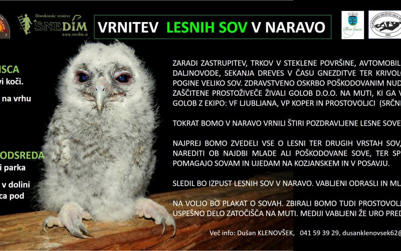 _zzzzzzzzsova__1_.jpg