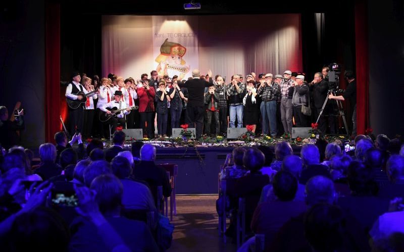 festiva_ah_te_orglice_2019___foto_marko_kapus.jpg