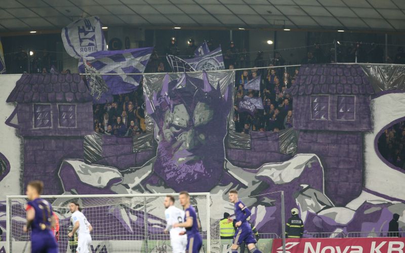 viole.jpg