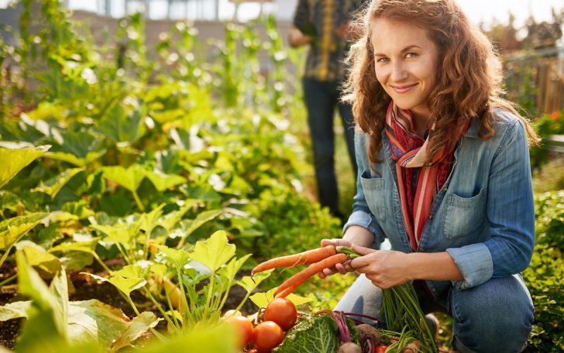 dnevnik sanja1 (1).jpg