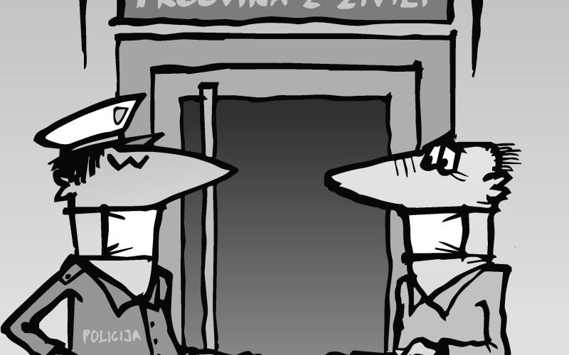 V trgovino z dokumenti.jpg