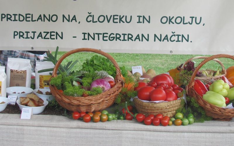 _zzzzzzzkmetije__1_.jpg