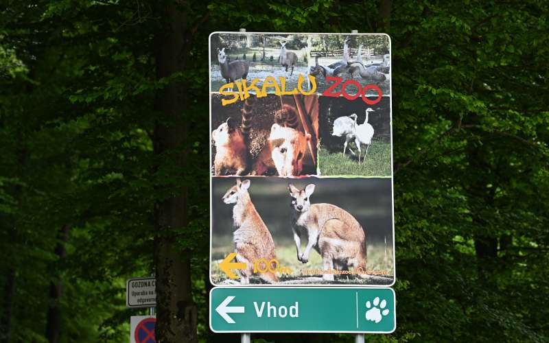 boračeva, zoo-sikalu, živali, živalski-vrt