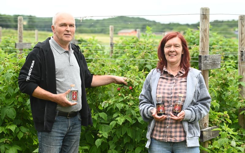 beznovci, sezona, brigitta-horvat-in-srečko-pravdič.maline, robide, žganje