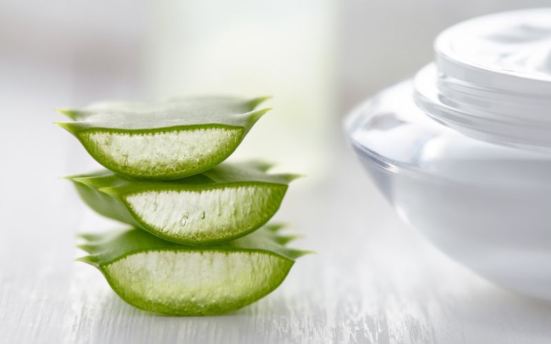 Aloe vera
