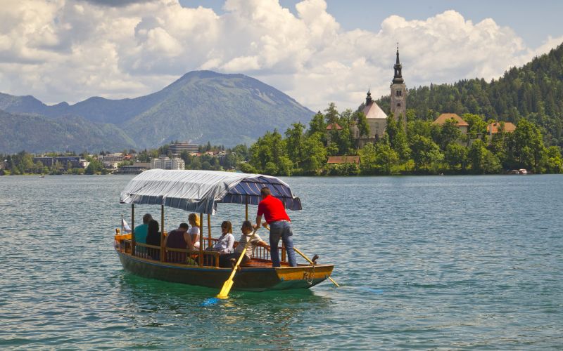 bled, pletnar