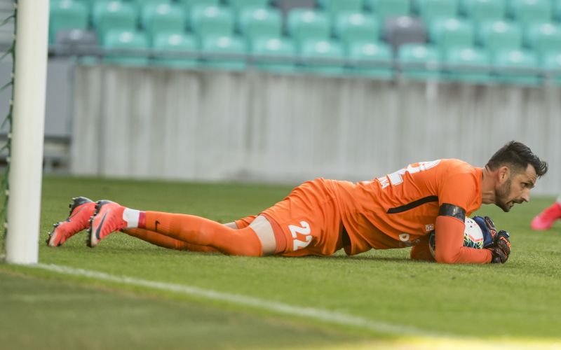 rozman.jpg