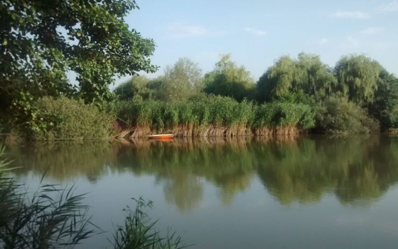 izlet Koseski bajer trsje.jpg