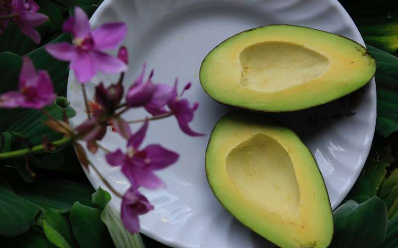avokado