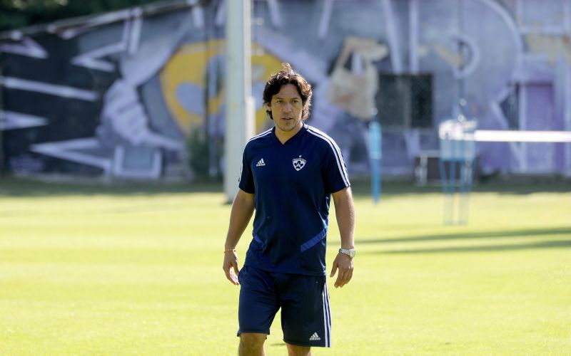 camoranesi 5.jpg