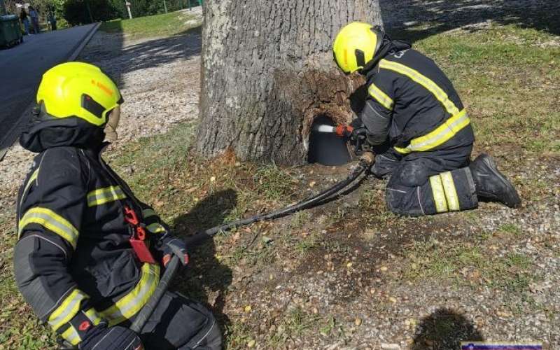 ljutomer, požar