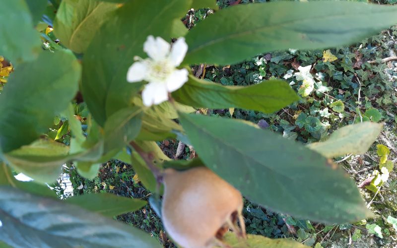 20201031_110901.jpg