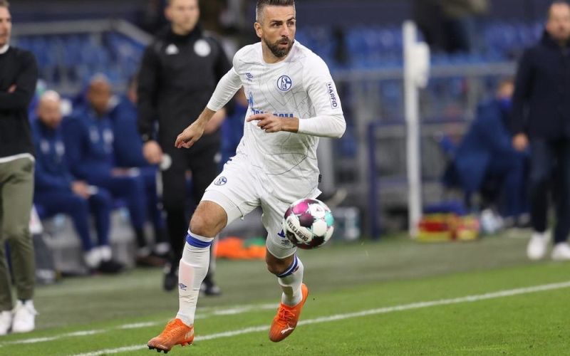 ibisevic.jpg