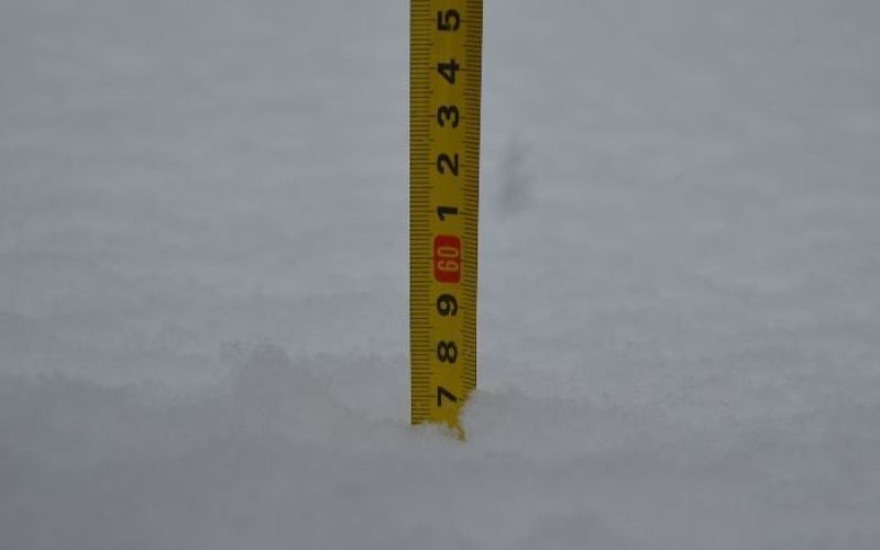 sneg_2012_1.jpg