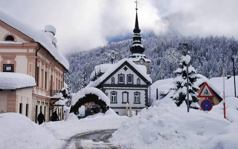 kranjska gora sneg.jpg