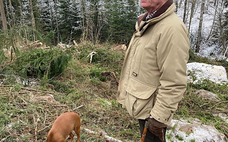 Kralj Carl XVI Gustaf