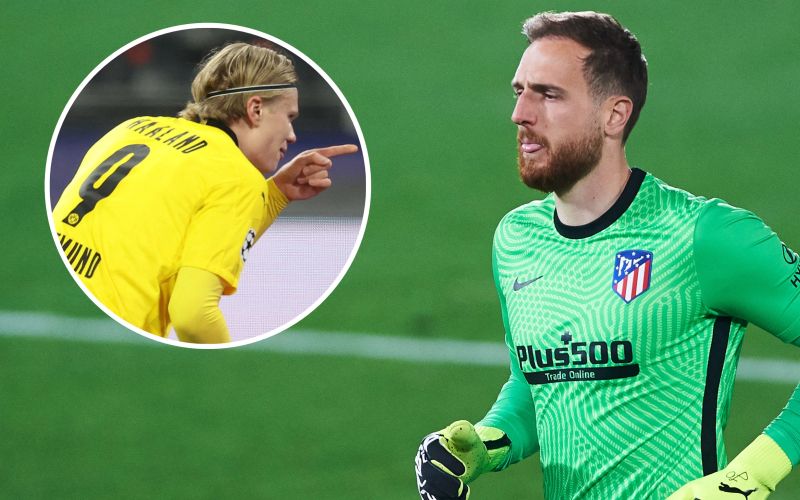 haaland oblak.jpg