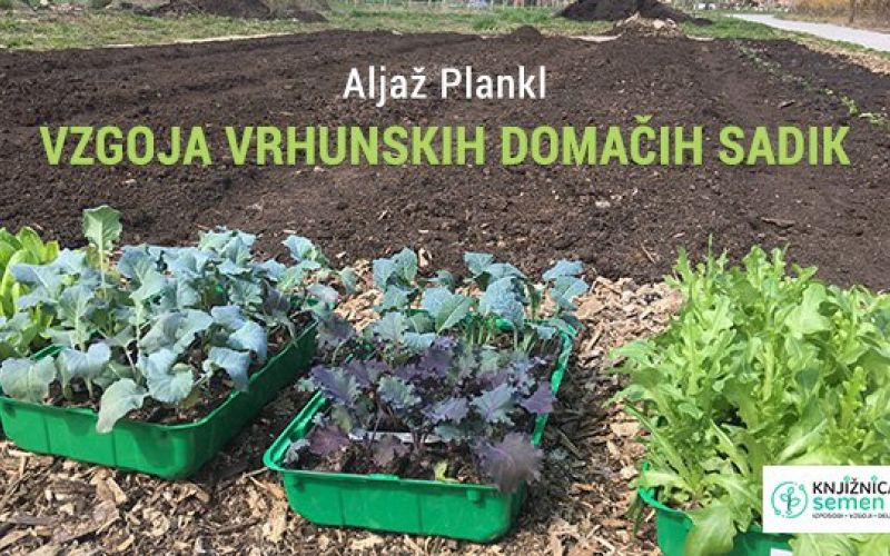 _zzzzzvzgoja.jpg