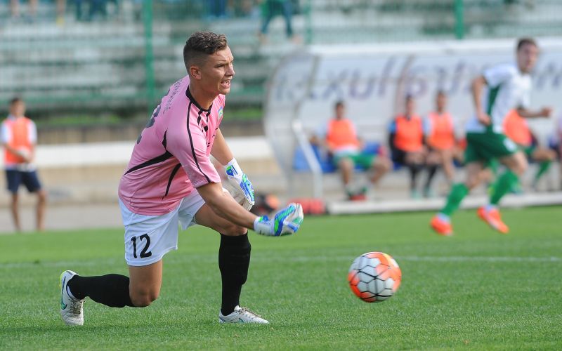adnan golubovic.jpg