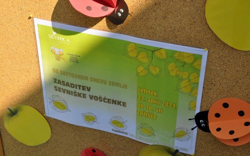 _voscenka__1_.jpg