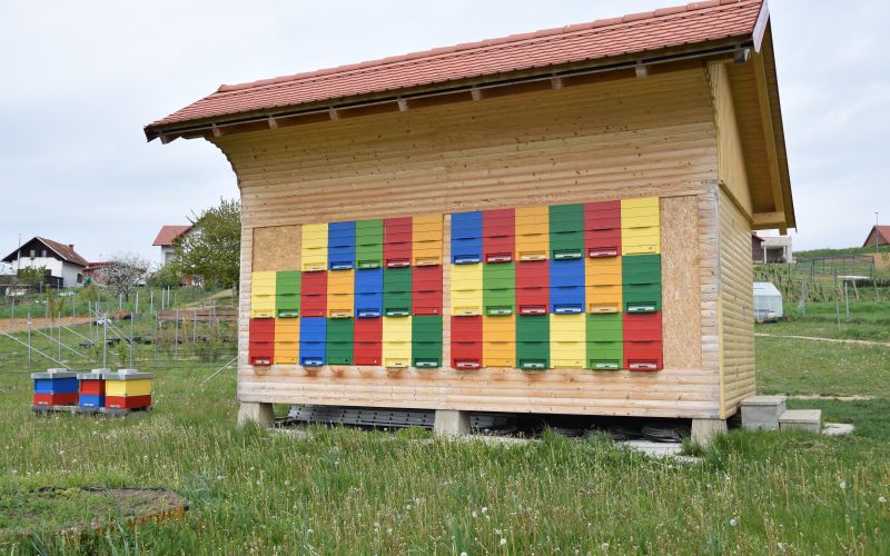 medene zgodbe, suhi vrh, mojca anzeljc