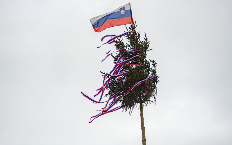 mlaj, postavljanje-mlaja, trg-zmage, murska-sobota