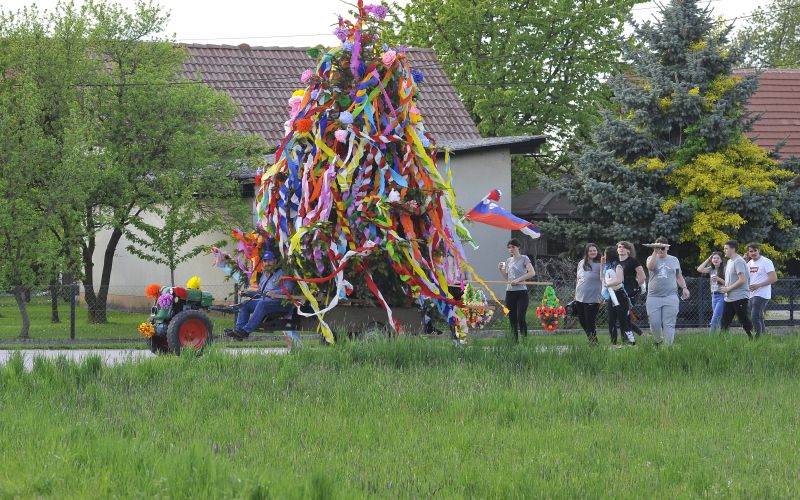 gančani, postavitev-majoša