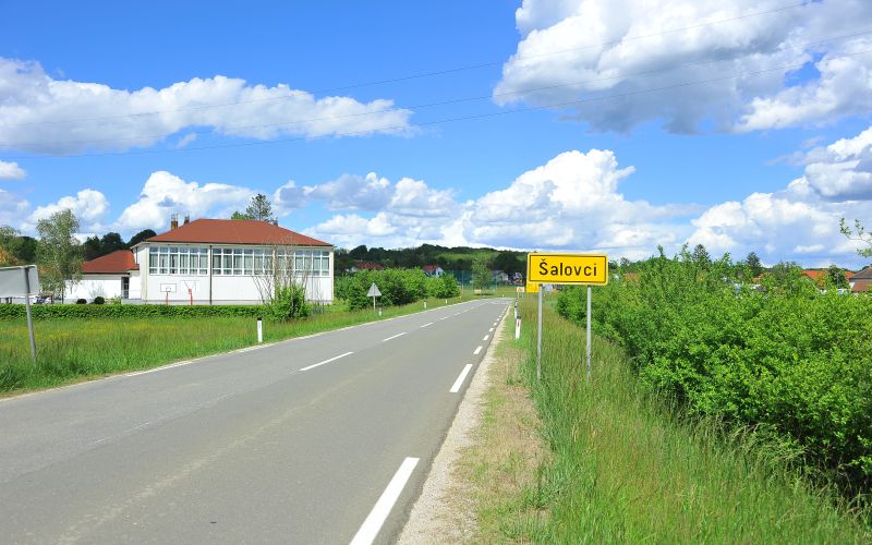 šalovci