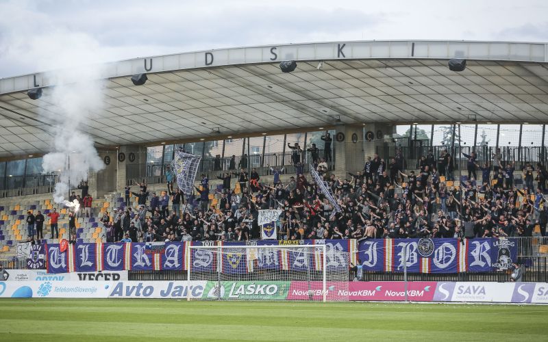 maribor viole ljudski vrt af.jpg
